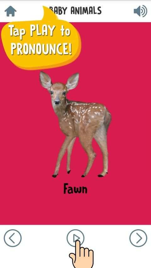 First Words for Baby: Animals screenshot 1