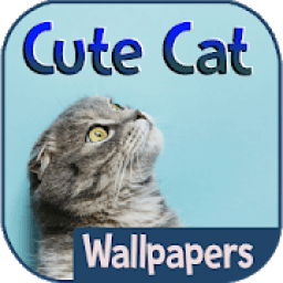 Cute Cat Wallpapers आइकन