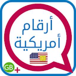 أرقام أمريكية 6.6