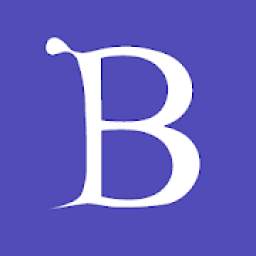 Bridge 1.0.4
