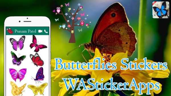 Butterfly Stickers - WAStickerApps screenshot 3