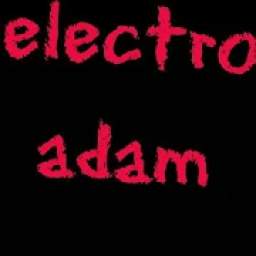 Electroadam