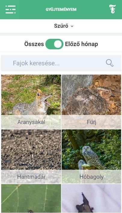 Fajbook screenshot 2