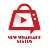 New WhatsApp Status