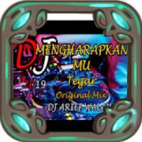 Lagu DJ Tegar Mengharapkanmu Offline