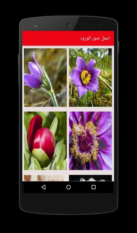 اجمل صور باقات ورد و باقات زهور *♥
‎ screenshot 6