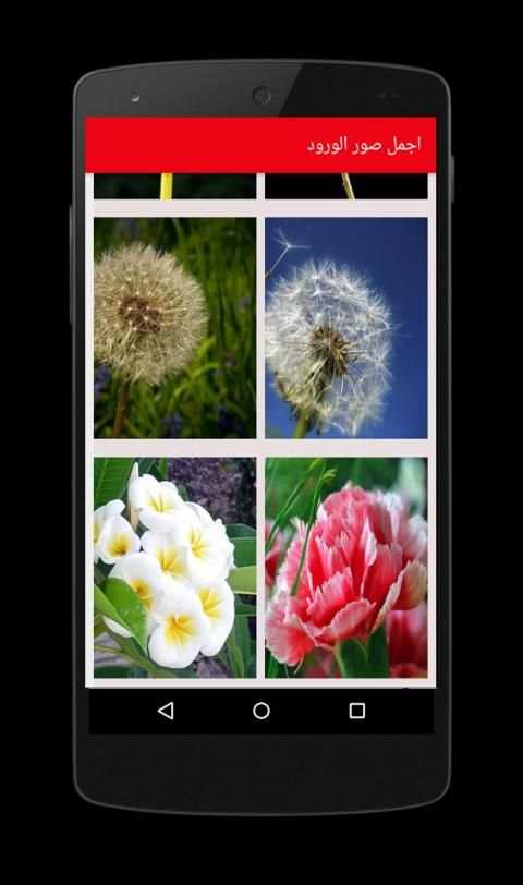 اجمل صور باقات ورد و باقات زهور *♥
‎ screenshot 4