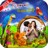 Parrot Insta DP