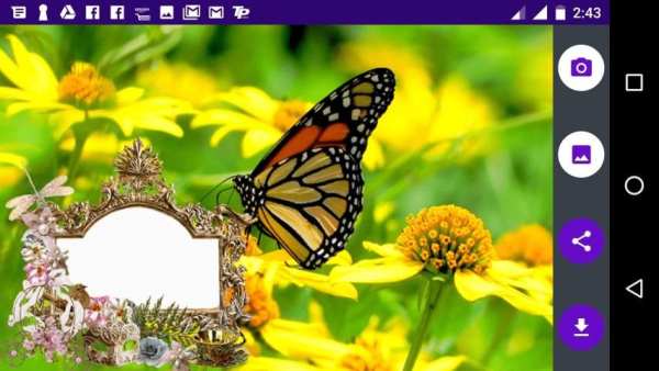 Butterfly Photo Frames 7 تصوير الشاشة