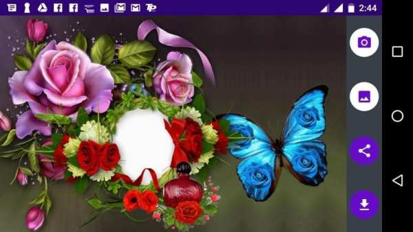 Butterfly Photo Frames 2 تصوير الشاشة