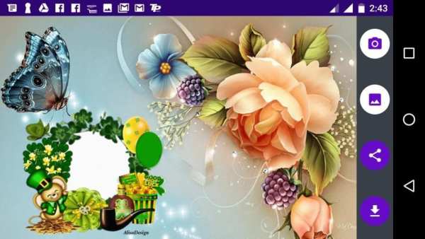 Butterfly Photo Frames 8 تصوير الشاشة