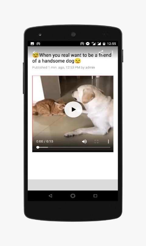 Funny Animals-Video screenshot 3