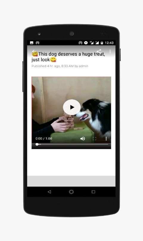 Funny Animals-Video screenshot 1