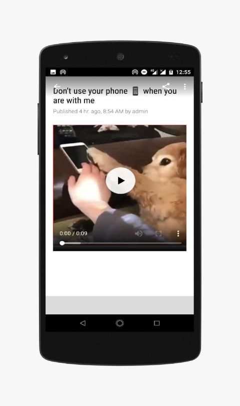 Funny Animals-Video स्क्रीनशॉट 4