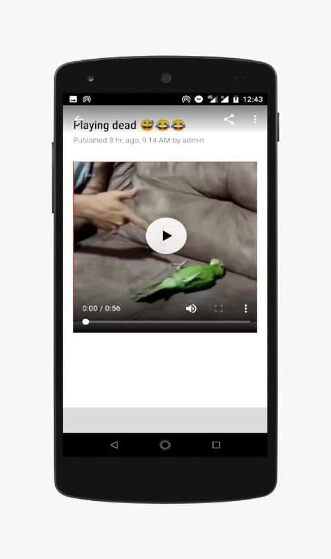 Funny Animals-Video स्क्रीनशॉट 5