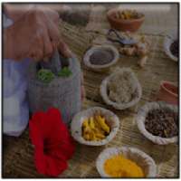 Ayurvedic Treatment and Medicine(Ayurveda)