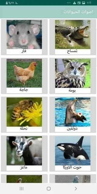 اصوات الحيوانات
‎ скриншот 3
