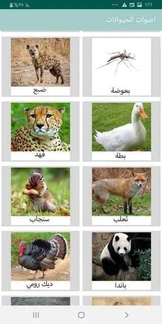 اصوات الحيوانات
‎ скриншот 4