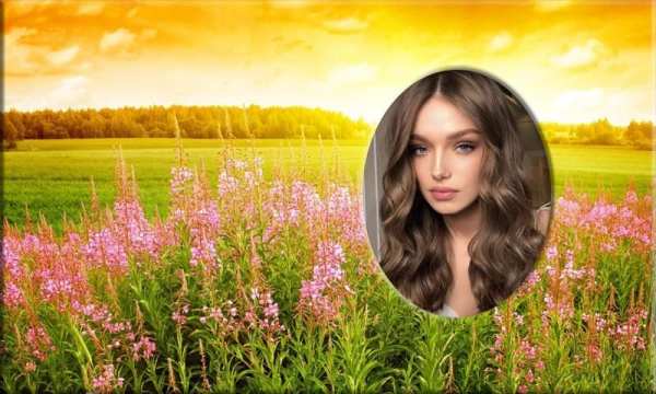 Nature Photo Frames - Flower Garden Editor 2020 screenshot 6