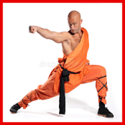 Learn Kung Fu आइकन