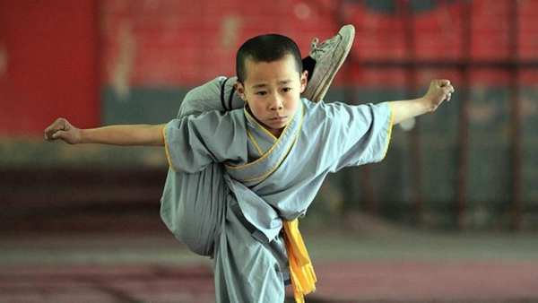 Learn Kung Fu स्क्रीनशॉट 5