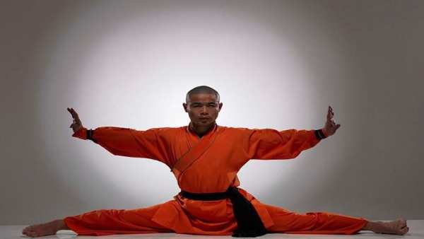 Learn Kung Fu screenshot 1