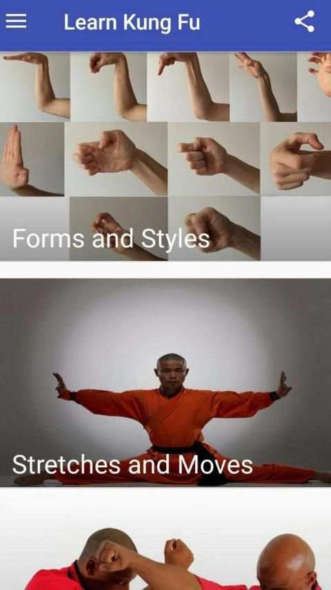 Learn Kung Fu screenshot 2