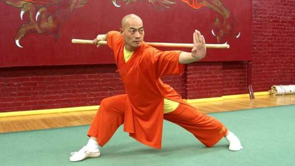 Learn Kung Fu स्क्रीनशॉट 7