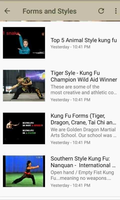 Learn Kung Fu screenshot 6