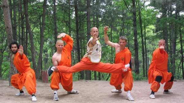 Learn Kung Fu स्क्रीनशॉट 3