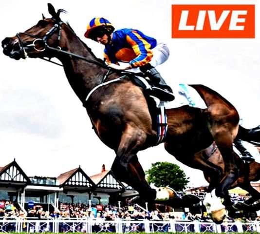 Horse Racing Live Stream screenshot 1