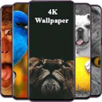 Zoo Wallpaper | Wild Animals on 9Apps