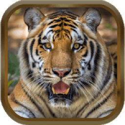 ikon Free Animal Ringtones - Animal Sounds