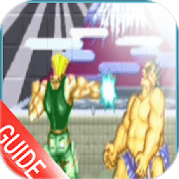 ikon Guide For Street Fighting II