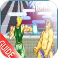 Guide For Street Fighting II