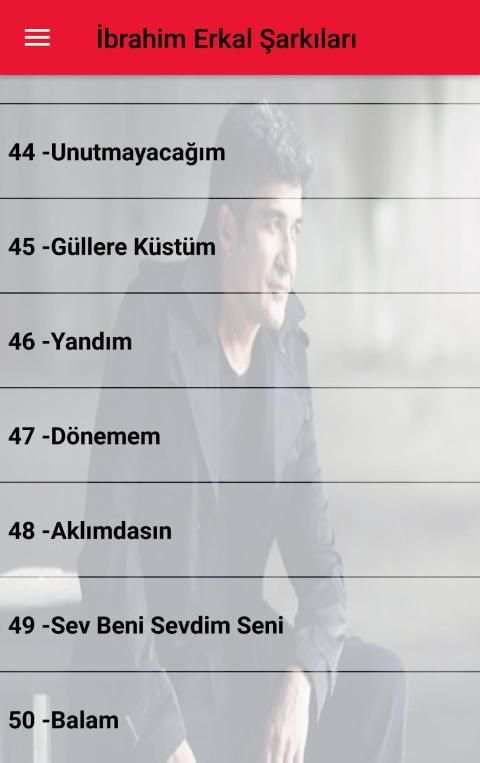 İbrahim Erkal Şarkıları İnternetsiz (50 Şarkı) скриншот 5