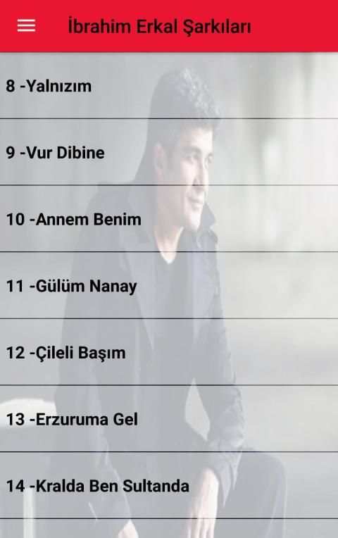 İbrahim Erkal Şarkıları İnternetsiz (50 Şarkı) скриншот 6