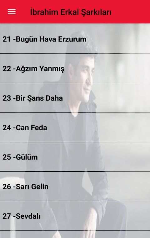 İbrahim Erkal Şarkıları İnternetsiz (50 Şarkı) screenshot 6