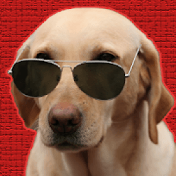 Trending Funny Videos आइकन