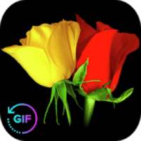 Flowers And Roses Animated Images Gif pictures 4K