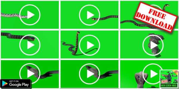 Free Green Screen Videos Download - FX Videos Free स्क्रीनशॉट 1