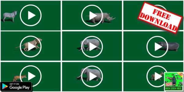 Free Green Screen Videos Download - FX Videos Free स्क्रीनशॉट 15