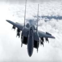 Pro Pilot : Control The Jet