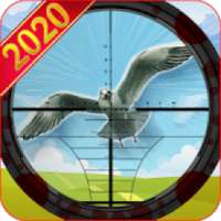 Bird Hunt - Bird Hunting and Shooting game logo