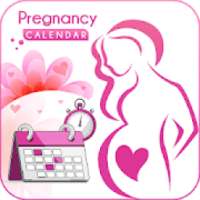 Pregnancy Due Date Calculator & Calendar