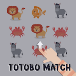 ikon Totobo Match