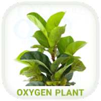 Oxygen Plant