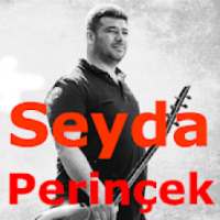 Seyda Perincek Sarkilari on 9Apps