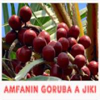 Amfanin Goruba A Jikin Mutum