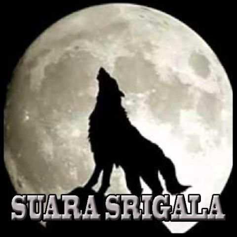 Suara Srigala Ringthones screenshot 1